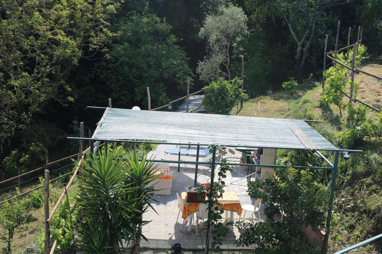 Villa Maremonti - Con 3 Piscine Σέστρι Λεβάντε Εξωτερικό φωτογραφία